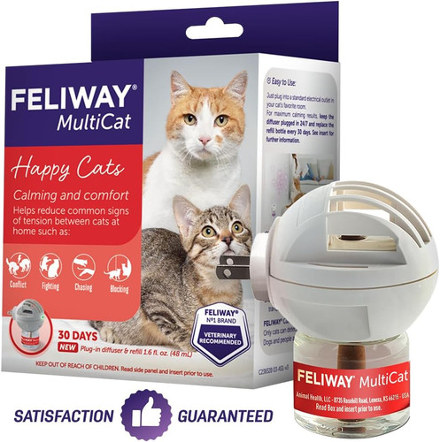Feliway multicat day cat - multicat,
